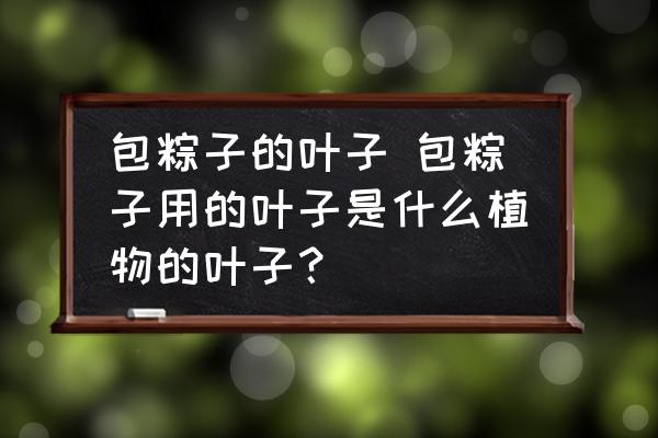 包粽子的葉子 包粽子用的葉子是什么植物的葉子？