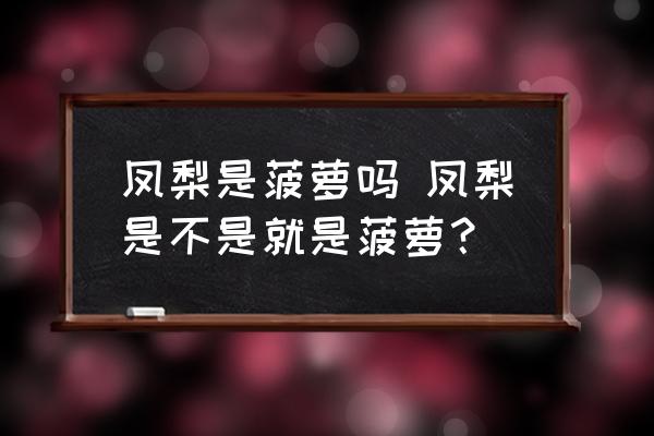 鳳梨是菠蘿嗎 鳳梨是不是就是菠蘿？