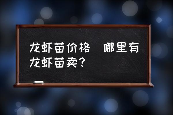 龍蝦苗價格(哪里有龍蝦苗賣？)