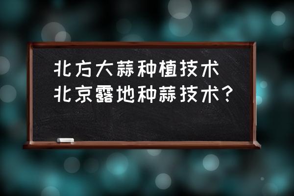 北方大蒜種植技術(shù)(北京露地種蒜技術(shù)？)
