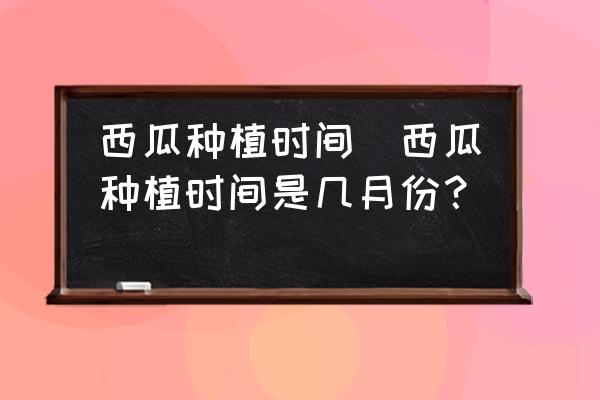 西瓜種植時間(西瓜種植時間是幾月份？)