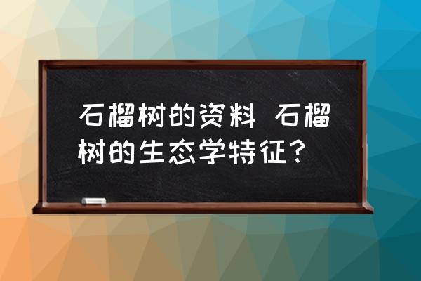 石榴樹(shù)的資料 石榴樹(shù)的生態(tài)學(xué)特征？