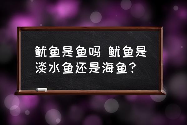 魷魚是魚嗎 魷魚是淡水魚還是海魚？