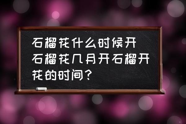 石榴花什么時候開 石榴花幾月開石榴開花的時間？