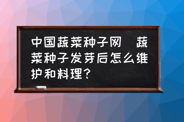 中國蔬菜種子網(wǎng)(蔬菜種子發(fā)芽后怎么維護和料理？)