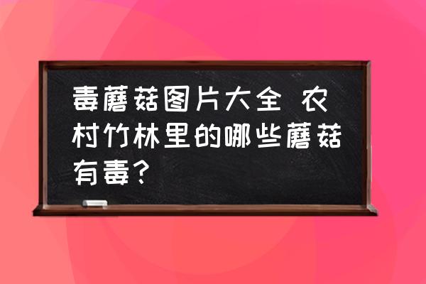 毒蘑菇圖片大全 農(nóng)村竹林里的哪些蘑菇有毒？
