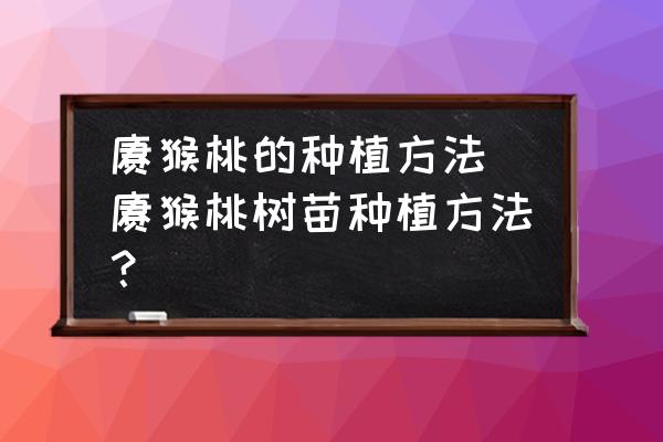 獼猴桃的種植方法(獼猴桃樹苗種植方法？)