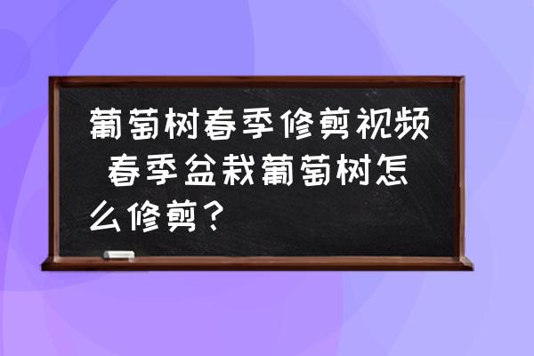 葡萄樹春季修剪視頻 春季盆栽葡萄樹怎么修剪？