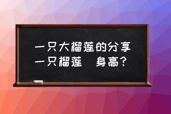 一只大榴蓮的分享(一只榴蓮(身高？)