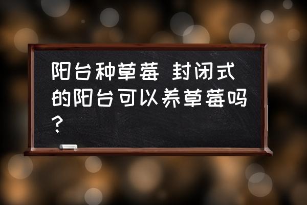 陽臺種草莓 封閉式的陽臺可以養(yǎng)草莓嗎？