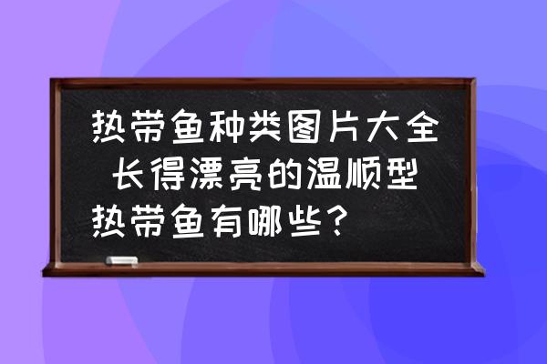 熱帶魚種類圖片大全 長(zhǎng)得漂亮的溫順型熱帶魚有哪些？