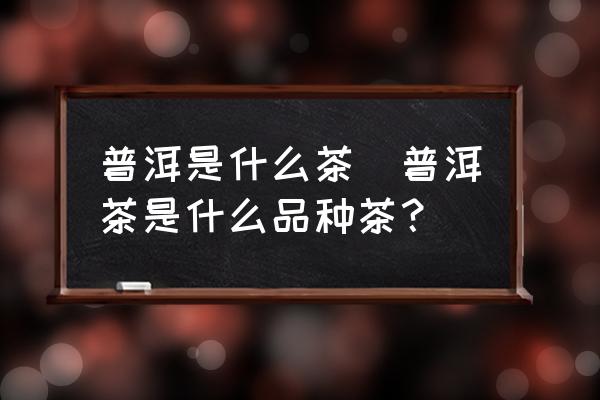 普洱是什么茶(普洱茶是什么品種茶？)