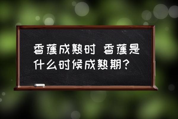 香蕉成熟時 香蕉是什么時候成熟期？
