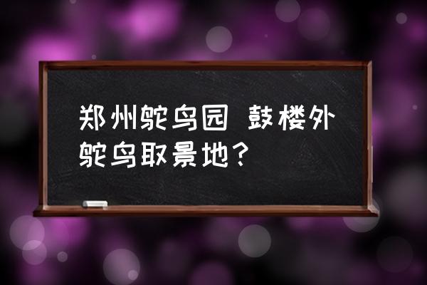 鄭州鴕鳥園 鼓樓外鴕鳥取景地？