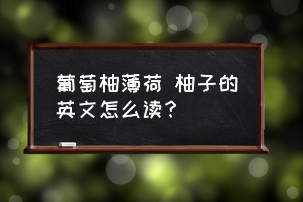 葡萄柚薄荷 柚子的英文怎么讀？