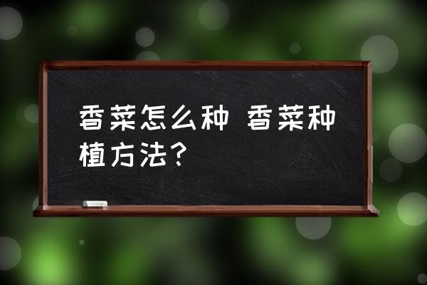香菜怎么種 香菜種植方法？
