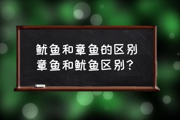 魷魚和章魚的區(qū)別(章魚和魷魚區(qū)別？)