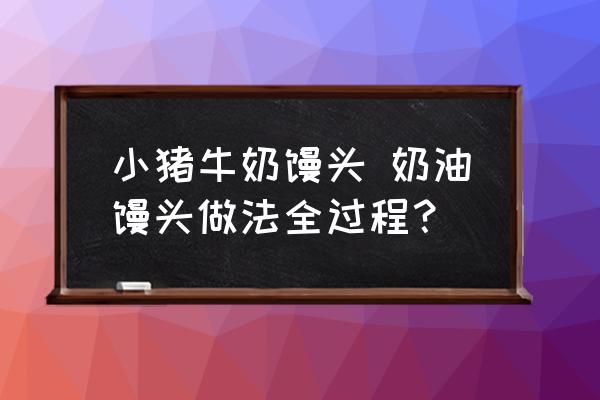 小豬牛奶饅頭 奶油饅頭做法全過程？