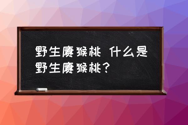 野生獼猴桃 什么是野生獼猴桃？