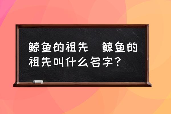 鯨魚的祖先(鯨魚的祖先叫什么名字？)