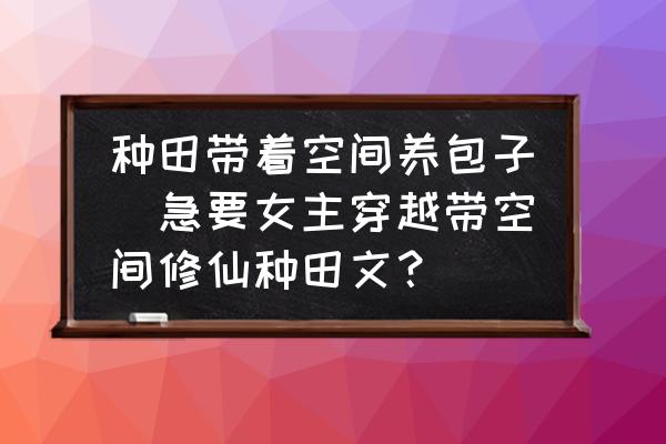 種田帶著空間養(yǎng)包子(急要女主穿越帶空間修仙種田文？)