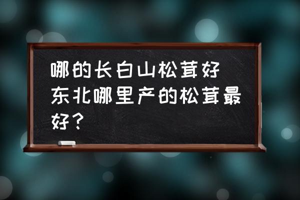 哪的長(zhǎng)白山松茸好 東北哪里產(chǎn)的松茸最好？