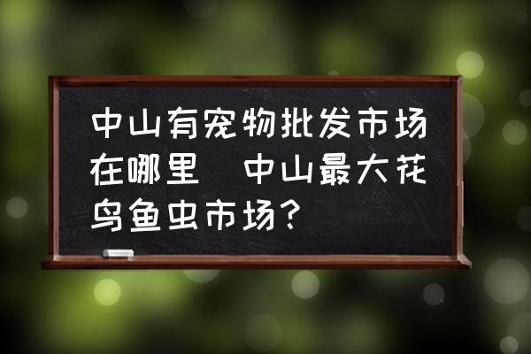 中山有寵物批發(fā)市場在哪里(中山最大花鳥魚蟲市場？)