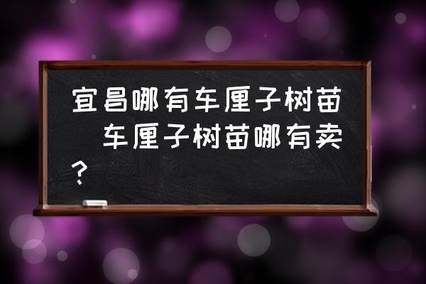 宜昌哪有車?yán)遄訕涿?車?yán)遄訕涿缒挠匈u？)