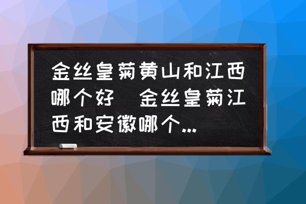 金絲皇菊黃山和江西哪個好(金絲皇菊江西和安徽哪個的好？)
