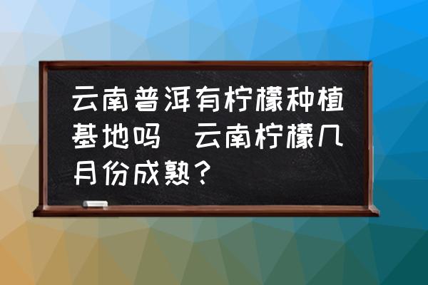 云南普洱有檸檬種植基地嗎(云南檸檬幾月份成熟？)