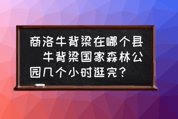 商洛牛背梁在哪個縣(牛背梁國家森林公園幾個小時逛完？)