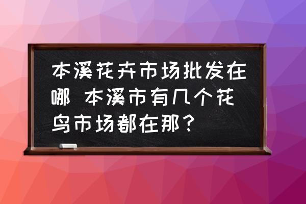 本溪花卉市場批發(fā)在哪 本溪市有幾個花鳥市場都在那？