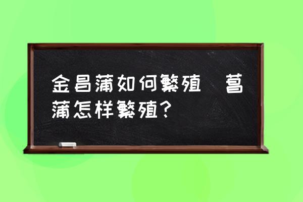 金昌蒲如何繁殖(菖蒲怎樣繁殖？)