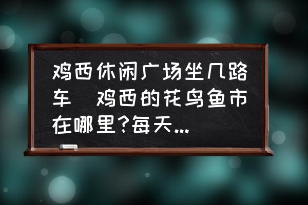 雞西休閑廣場(chǎng)坐幾路車(雞西的花鳥魚市在哪里?每天都有嗎？)