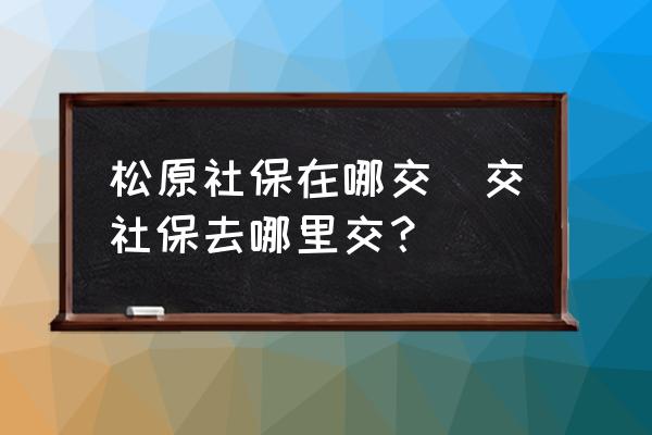 松原社保在哪交(交社保去哪里交？)
