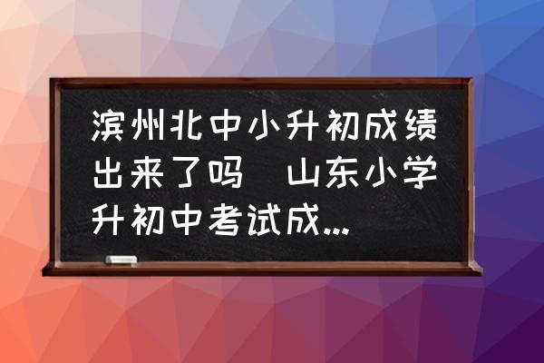 濱州北中小升初成績(jī)出來了嗎(山東小學(xué)升初中考試成績(jī)?cè)趺床樵儯?
