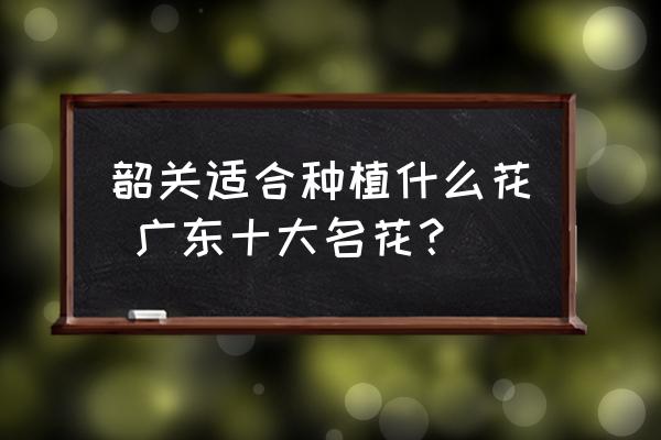 韶關適合種植什么花 廣東十大名花？
