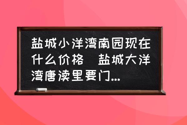 鹽城小洋灣南園現(xiàn)在什么價(jià)格(鹽城大洋灣唐瀆里要門票嗎？)