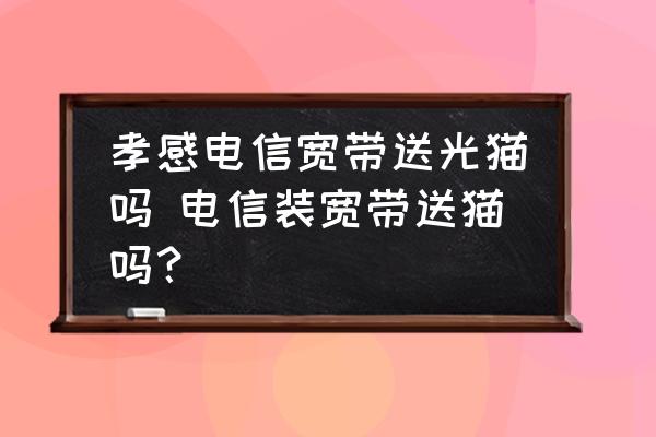 孝感電信寬帶送光貓嗎 電信裝寬帶送貓嗎？