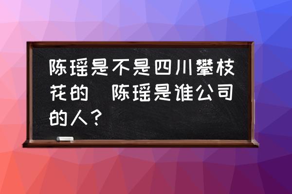 陳瑤是不是四川攀枝花的(陳瑤是誰公司的人？)