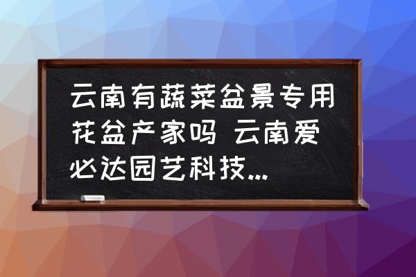 云南有蔬菜盆景專用花盆產(chǎn)家嗎 云南愛必達(dá)園藝科技有限公司靠譜嗎？