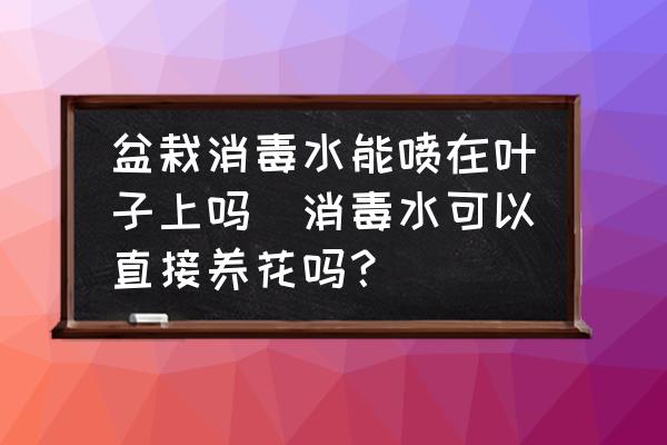 盆栽消毒水能噴在葉子上嗎(消毒水可以直接養(yǎng)花嗎？)