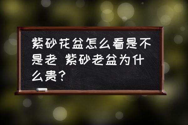 紫砂花盆怎么看是不是老 紫砂老盆為什么貴？