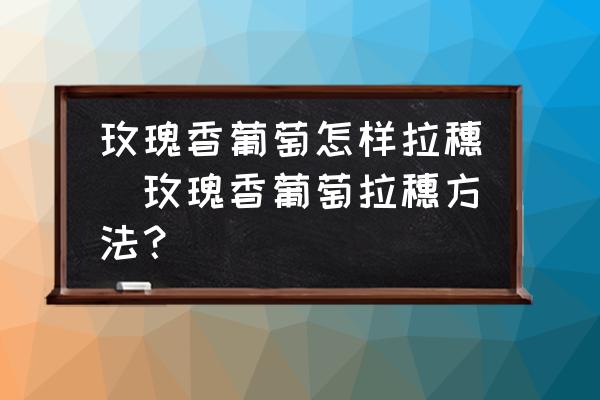 玫瑰香葡萄怎樣拉穗(玫瑰香葡萄拉穗方法？)