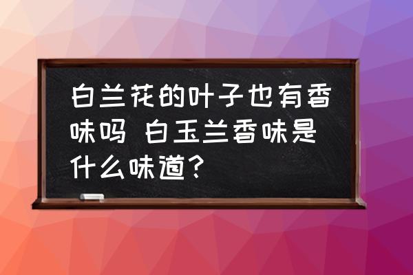 白蘭花的葉子也有香味嗎 白玉蘭香味是什么味道？
