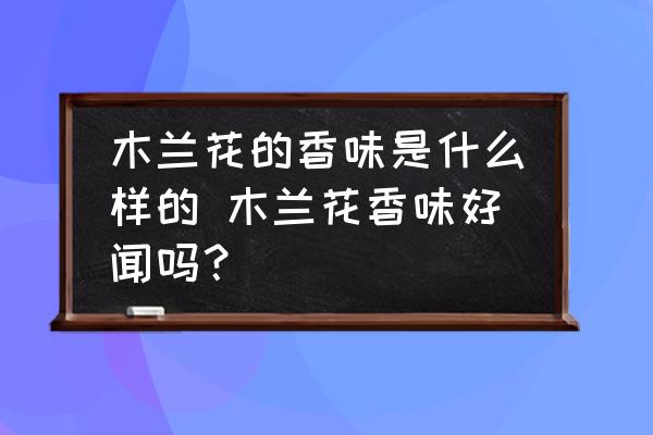 木蘭花的香味是什么樣的 木蘭花香味好聞嗎？