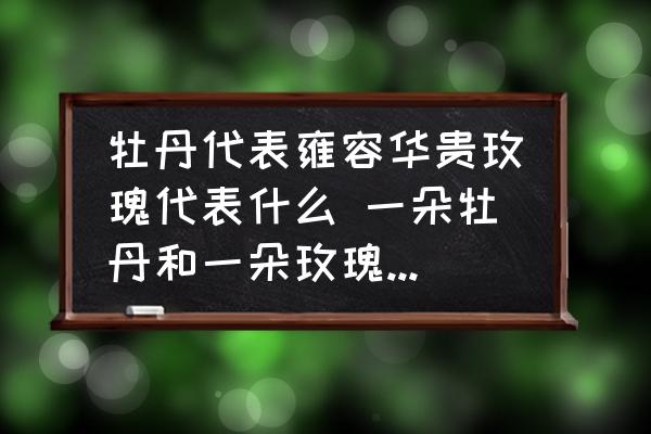 牡丹代表雍容華貴玫瑰代表什么 一朵牡丹和一朵玫瑰代表什么花語？