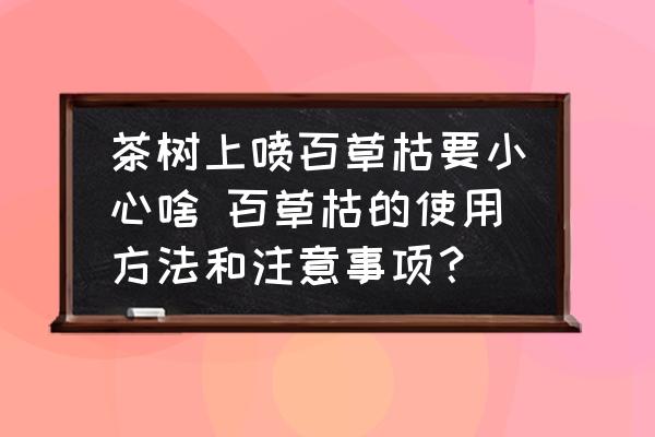 茶樹上噴百草枯要小心啥 百草枯的使用方法和注意事項(xiàng)？