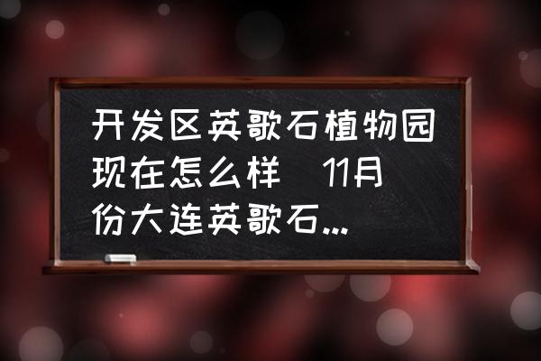 開發(fā)區(qū)英歌石植物園現(xiàn)在怎么樣(11月份大連英歌石植物園怎么樣？)