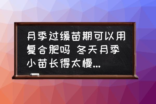 月季過(guò)緩苗期可以用復(fù)合肥嗎 冬天月季小苗長(zhǎng)得太慢怎么辦？